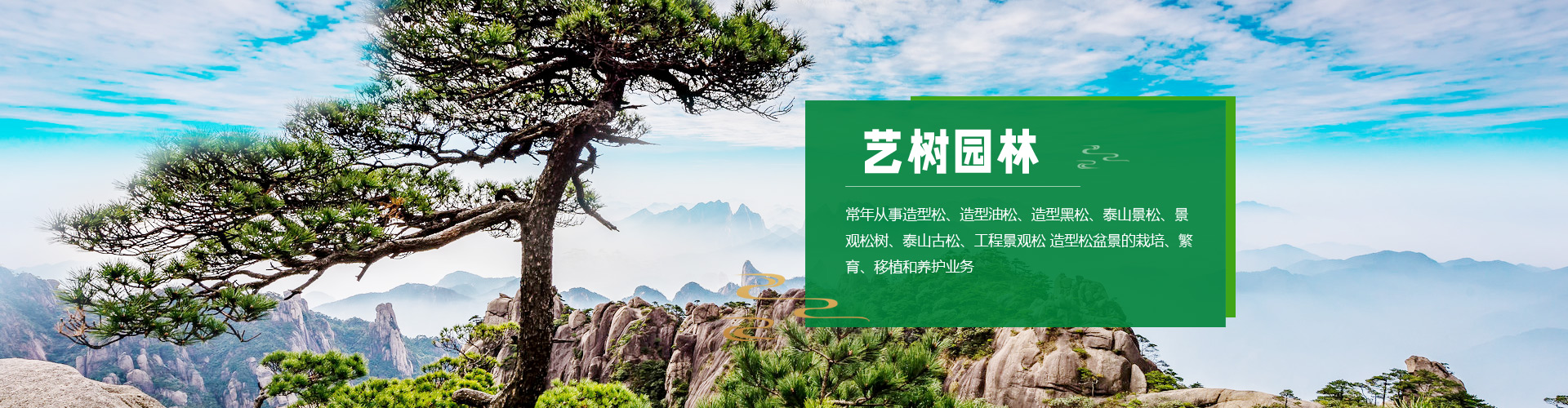 山東泰岳印刷材料有限公司